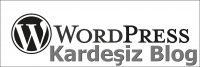 Wordpressde Yazma ve Yazı Yayınlama Ayarları