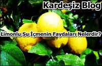 Limonlu su içmenin faydaları nelerdir