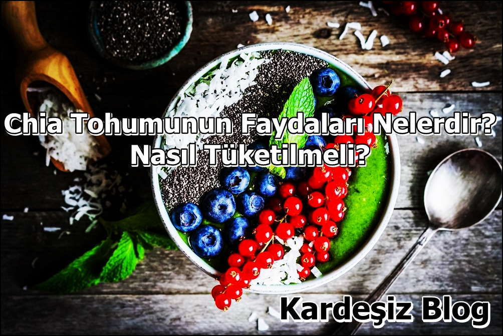 Chia Tohumunun Faydaları Nelerdir