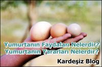 Yumurtanın Faydaları Nelerdir