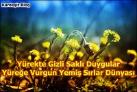 Yürekte Gizli Saklı Duygular