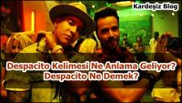 Despacito Kelimesi Ne Anlama Geliyor