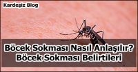 Böcek Sokması Nasıl Anlaşılır