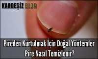 Pireden Kurtulmak için Doğal Yöntemler