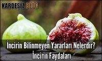 incirin Bilinmeyen Yararları Nelerdir