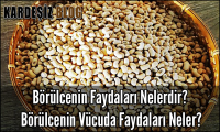 Börülcenin Faydaları Nelerdir