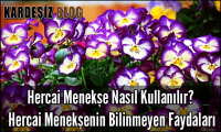 Hercai Menekşe Nasıl Kullanılır