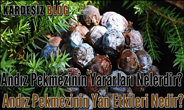 Andız Pekmezinin Yararları Nelerdir