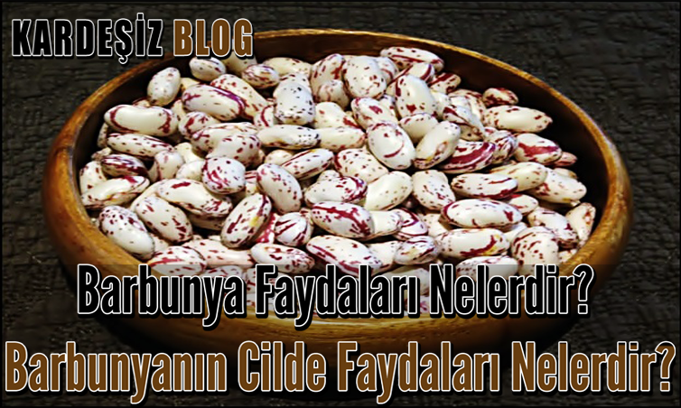 Barbunya Faydaları Nelerdir
