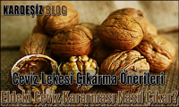 Ceviz Lekesi Çıkarma Önerileri