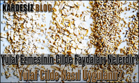 Yulaf Ezmesinin Cilde Faydaları Nelerdir