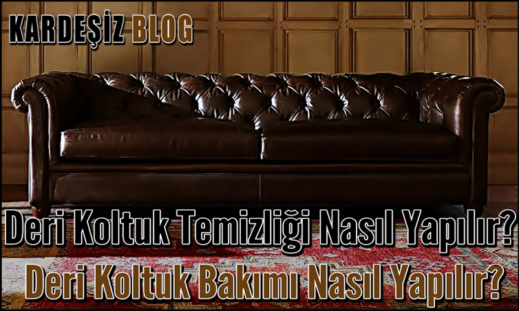 Deri Koltuk Temizliği Nasıl Yapılır