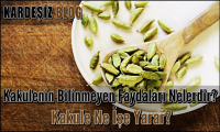 Kakulenin Bilinmeyen Faydaları Nelerdir