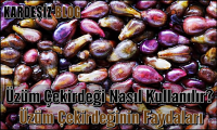 Üzüm Çekirdeği Nasıl Kullanılır