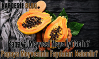 Papaya Meyvesi Neye iyi Gelir