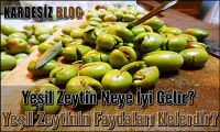Yeşil Zeytin Neye iyi Gelir