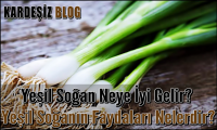 Yeşil Soğan Neye iyi Gelir