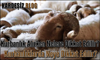 Kurbanlık Alırken Nelere Dikkat Edilir