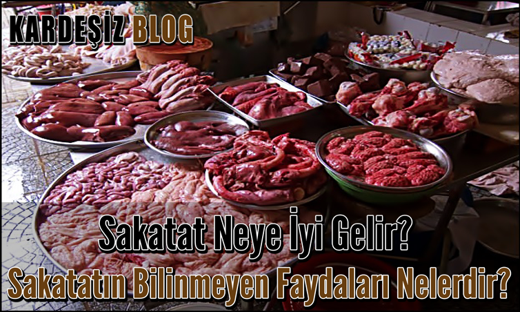 Sakatat Neye iyi Gelir