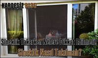 Sineklik Takarken Nelere Dikkat Edilmeli
