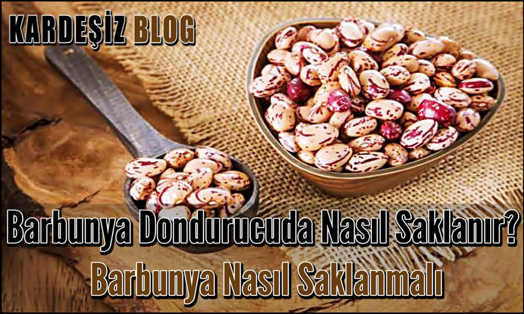 Barbunya Dondurucuda Nasıl Saklanır