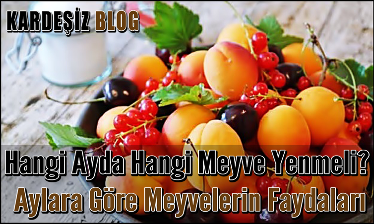 Hangi Ayda Hangi Meyve Yenmeli