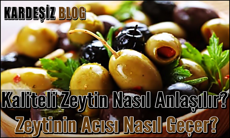 Kaliteli Zeytin Nasıl Anlaşılır