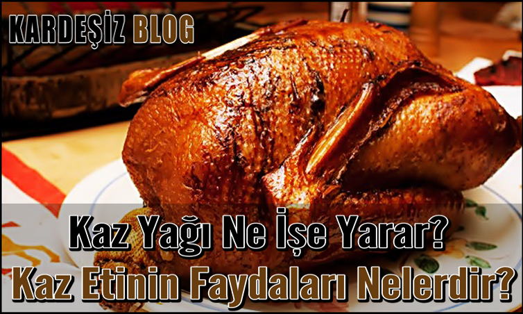 Kaz Yağı Ne İşe Yarar? Kaz Etinin Faydaları Nelerdir?