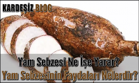 Yam Sebzesi Ne İşe Yarar