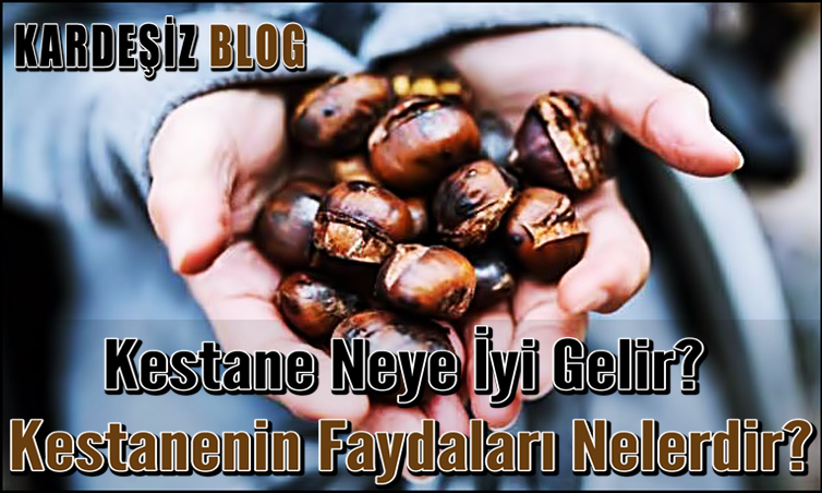 Kestane Neye iyi Gelir