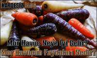 Mor Havuç Neye iyi Gelir