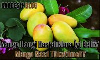 Mango Hangi Hastalıklara iyi Gelir
