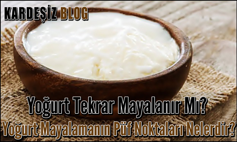 Yoğurt Tekrar Mayalanır Mı