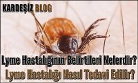 Lyme Hastalığının Belirtileri Nelerdir