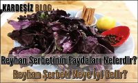 Reyhan Şerbetinin Faydaları Nelerdir