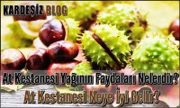 At Kestanesi Yağının Faydaları Nelerdir