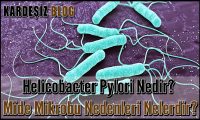 Helicobacter Pylori Nedir