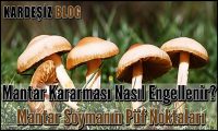 Mantar Kararması Nasıl Engellenir