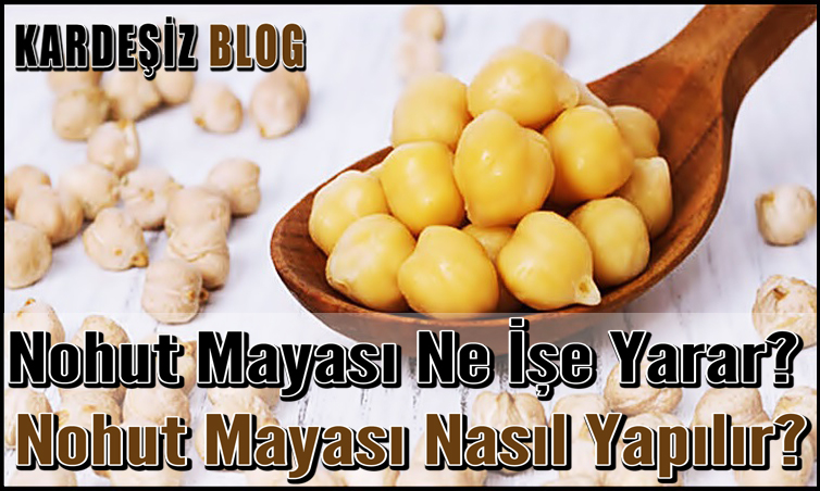 Nohut Mayası Ne işe Yarar
