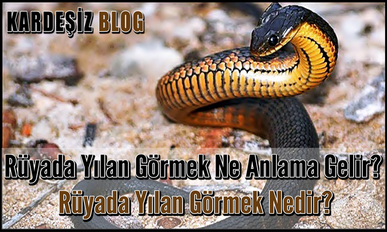 Rüyada Yılan Görmek Ne Anlama Gelir