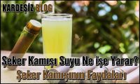 Şeker Kamışı Suyu Ne işe Yarar