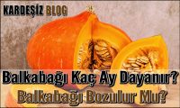 Balkabağı Kaç Ay Dayanır