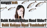 Balık Kokusu Elden Nasıl Gider