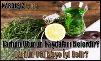 Tarhun Otunun Faydaları Nelerdir