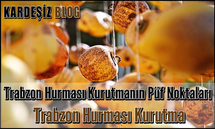 Trabzon Hurması Kurutmanın Püf Noktaları