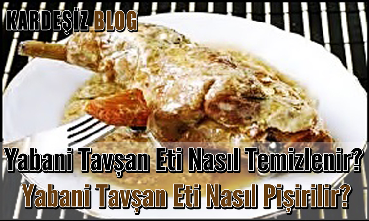 Yabani Tavşan Eti Nasıl Temizlenir