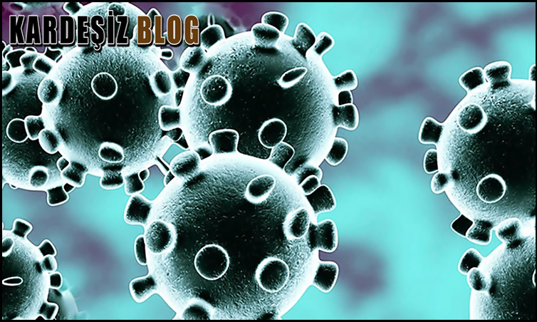 Sars Virüsü Neden Olur