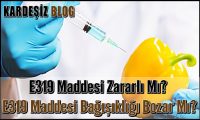 E319 Maddesi Zararlı Mı