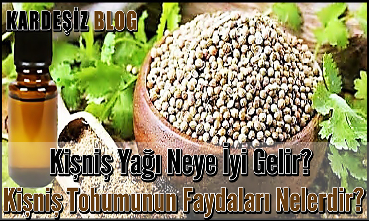 Kişniş Yağı Neye iyi Gelir