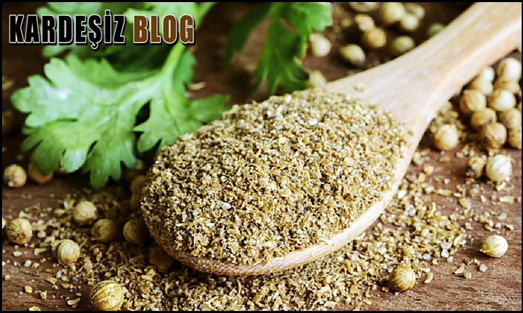 Kişniş Yağının Zarları Var Mı